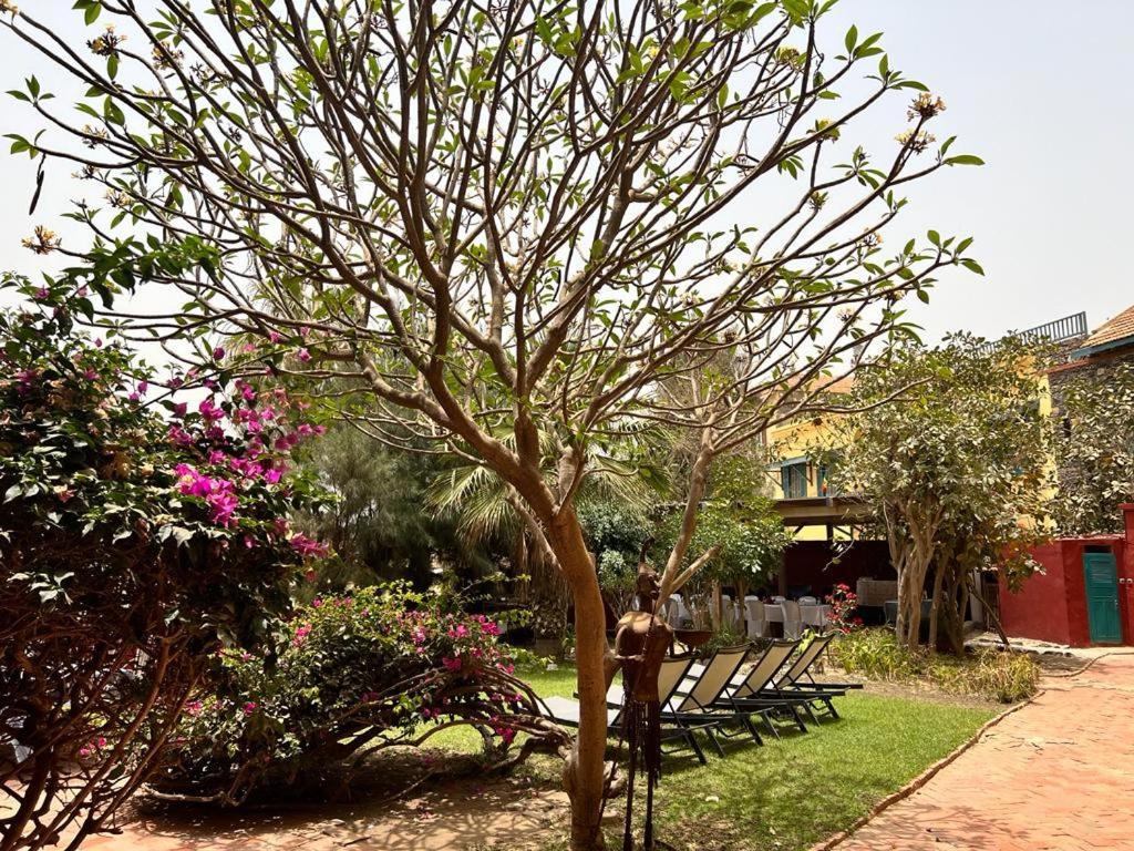 Chez Olivier - Ile De Gorée Exterior photo